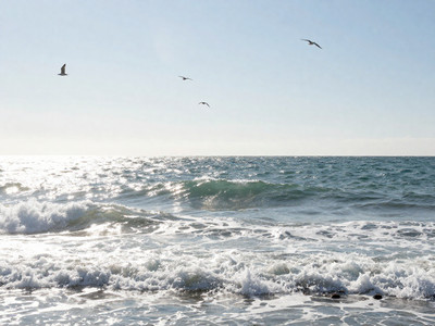 The Open Sea